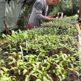 Qui partage, reçoit