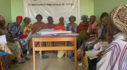 En RDC, des familles apprennent à créer des Activités Génératrices de Revenus
